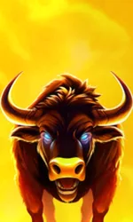 Big Wild Buffalo 2